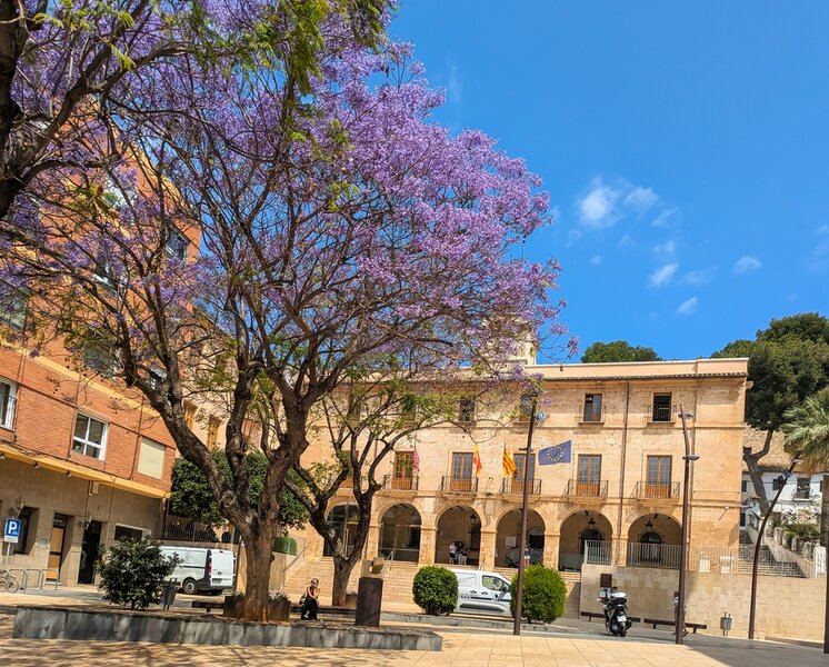 PXL_20250522_101817883.jpg PXL_20250522_101817883.jpg