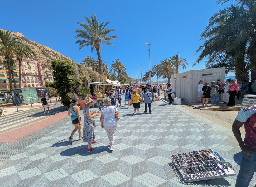 PXL_20250525_095652875.jpg PXL_20250525_095652875.jpg