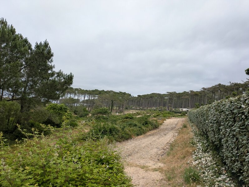 PXL_20250604_120133891.jpg PXL_20250604_120133891.jpg