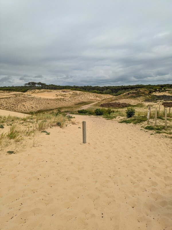 PXL_20250604_120749372.jpg PXL_20250604_120749372.jpg