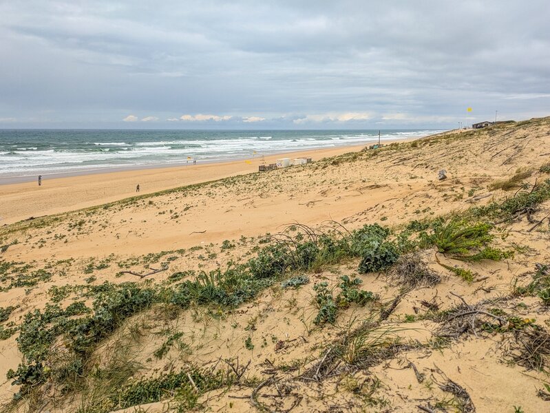 PXL_20250604_121110877.jpg PXL_20250604_121110877.jpg