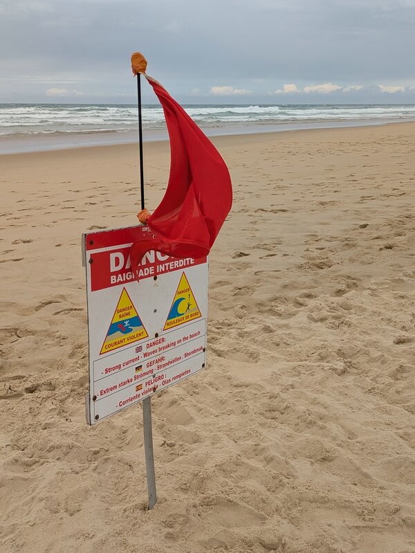 PXL_20250604_121532286.jpg PXL_20250604_121532286.jpg