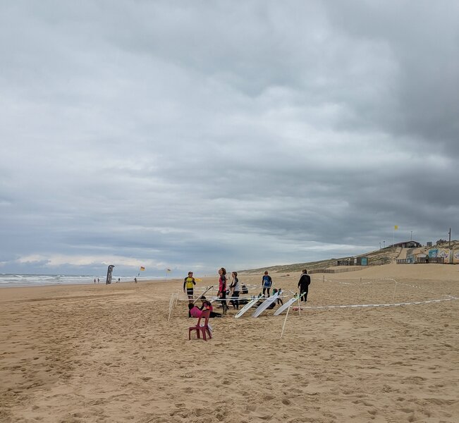 PXL_20250604_121553321.jpg PXL_20250604_121553321.jpg