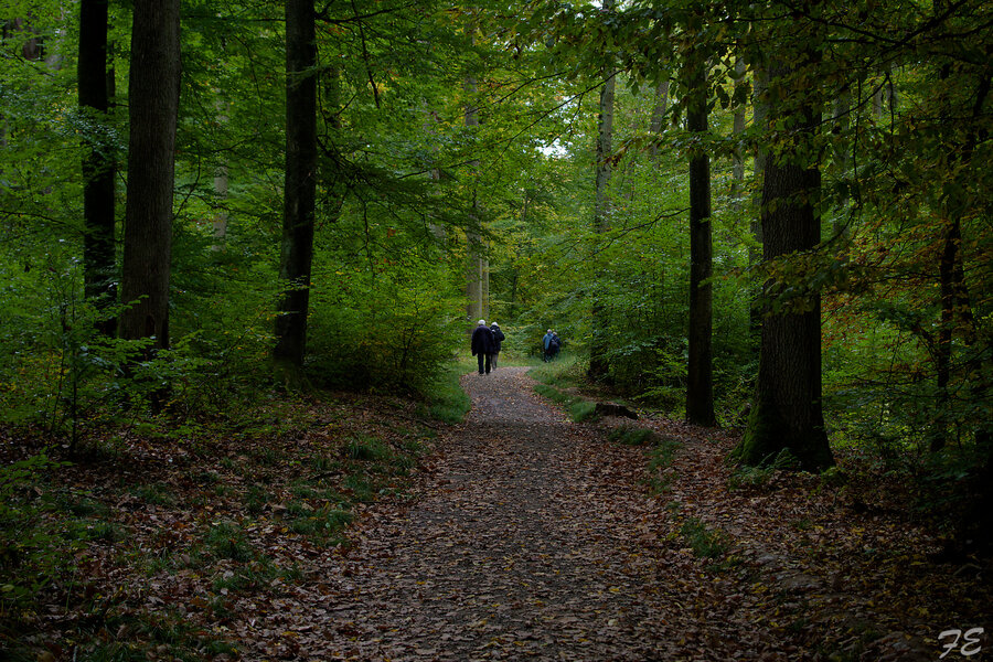 IMGP5846_DxO.jpg IMGP5846_DxO.jpg