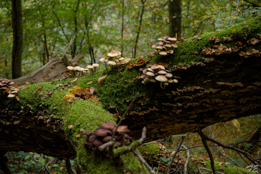 IMGP5849_DxO.jpg IMGP5849_DxO.jpg