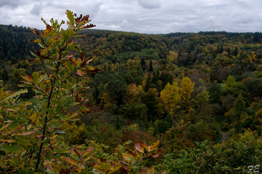 IMGP5852_DxO.jpg IMGP5852_DxO.jpg