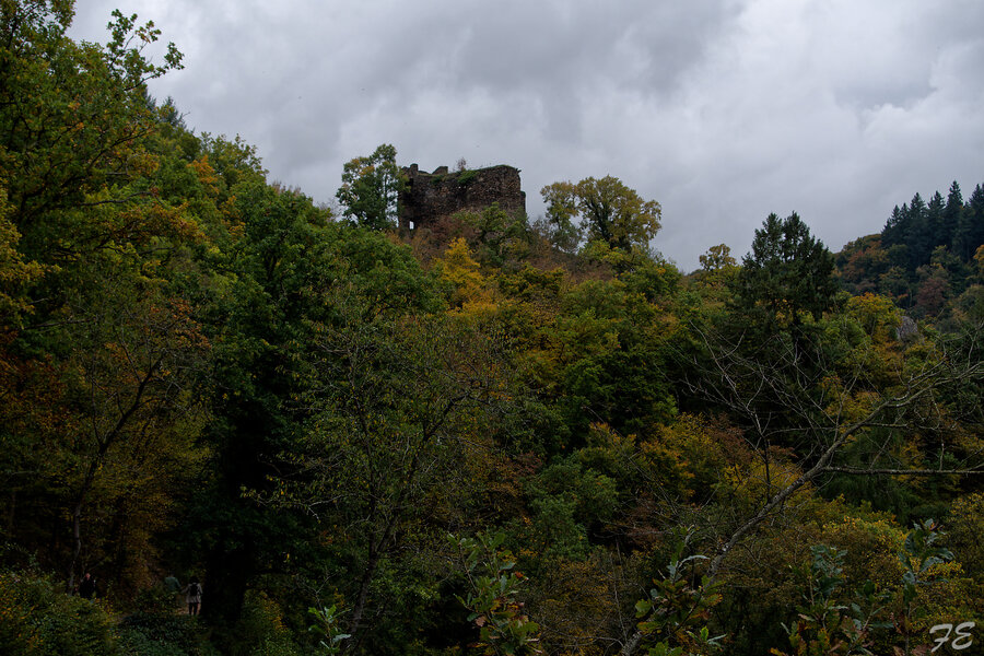 IMGP5859_DxO.jpg IMGP5859_DxO.jpg