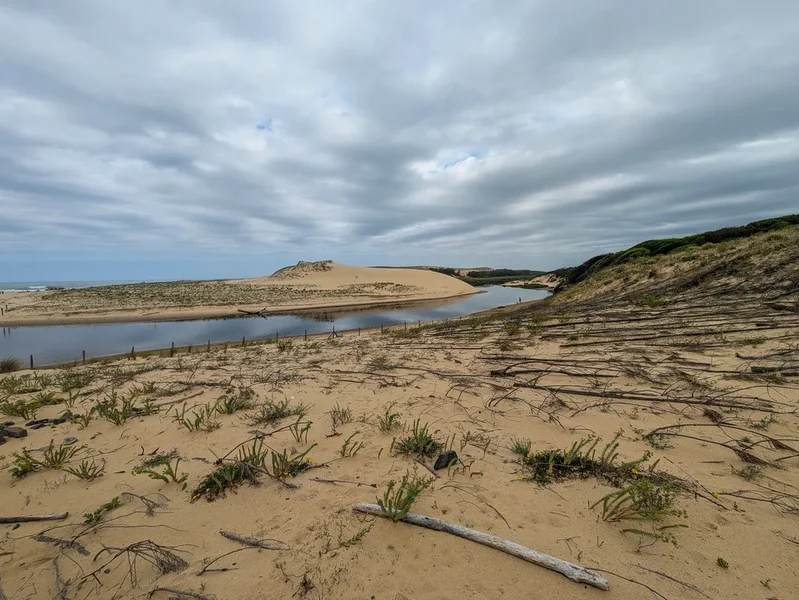 PXL_20250606_094411993.webp