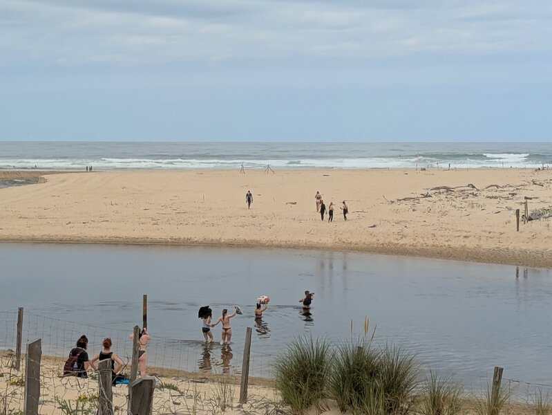 PXL_20250606_094537222.jpg PXL_20250606_094537222.jpg