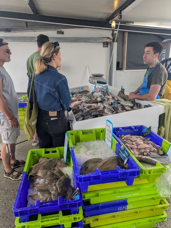 PXL_20250607_101452532.jpg PXL_20250607_101452532.jpg