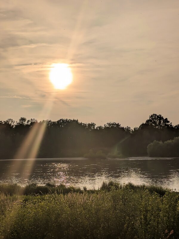 PXL_20250610_184126675~2.jpg PXL_20250610_184126675~2.jpg