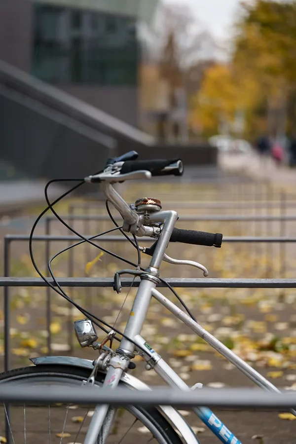 ci_A7402918.webp ci_A7402918.webp