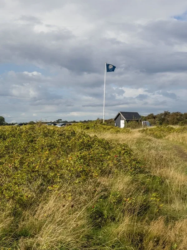 P9131651.jpg