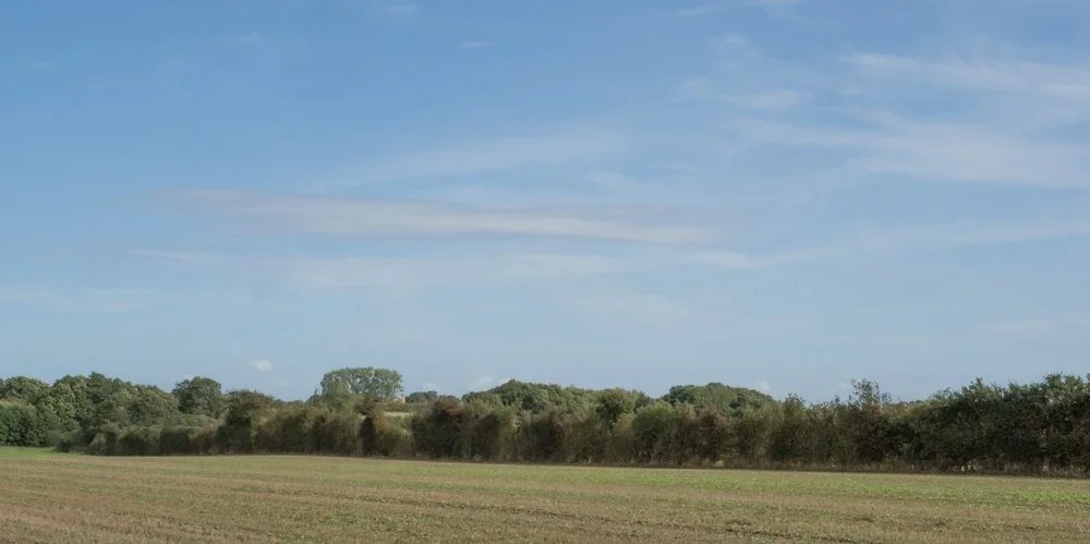 P9131657.webp