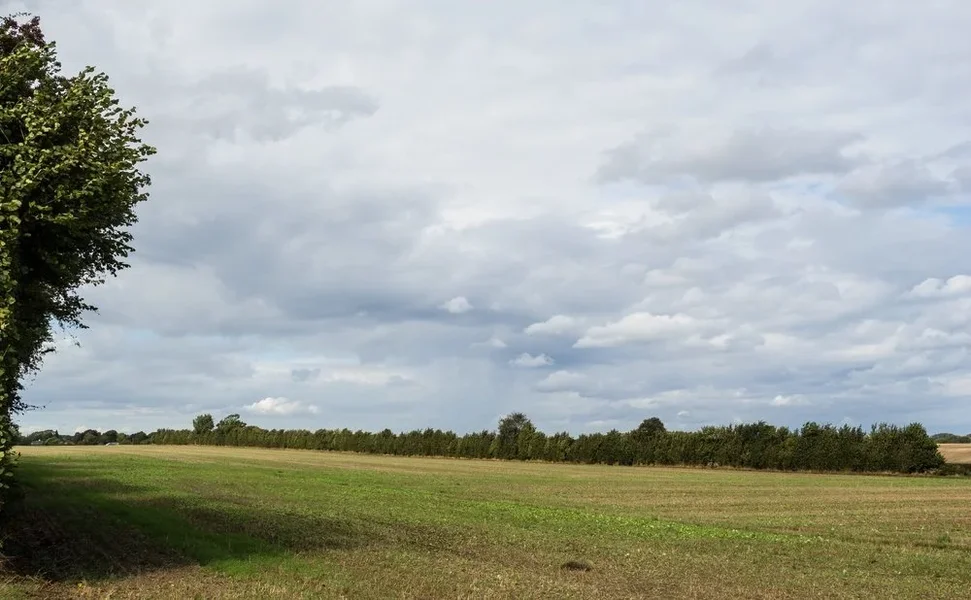 P9131658.webp