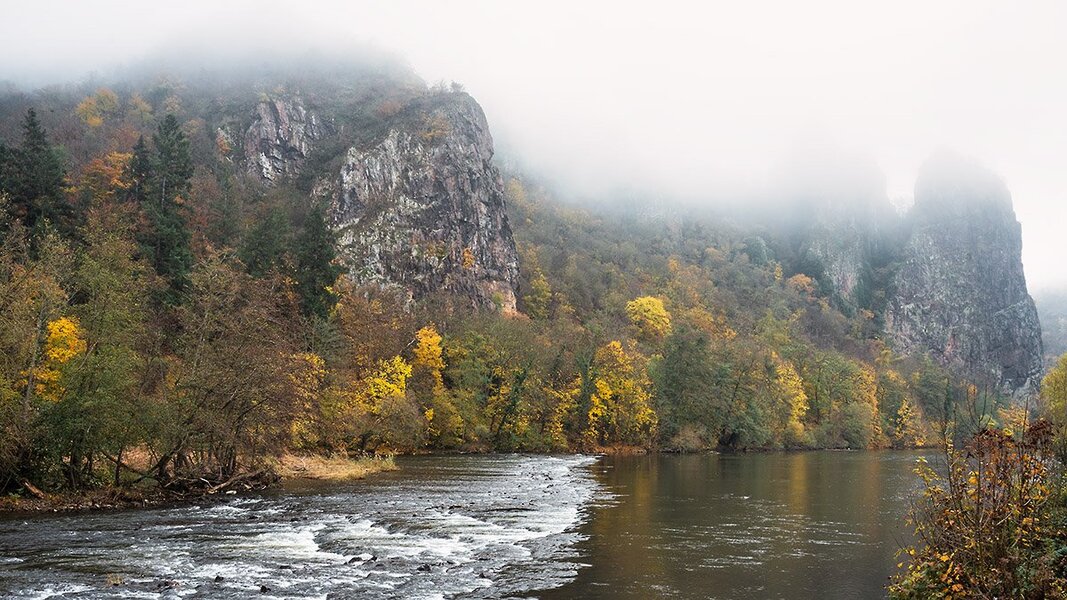 ci_A7403381.jpg