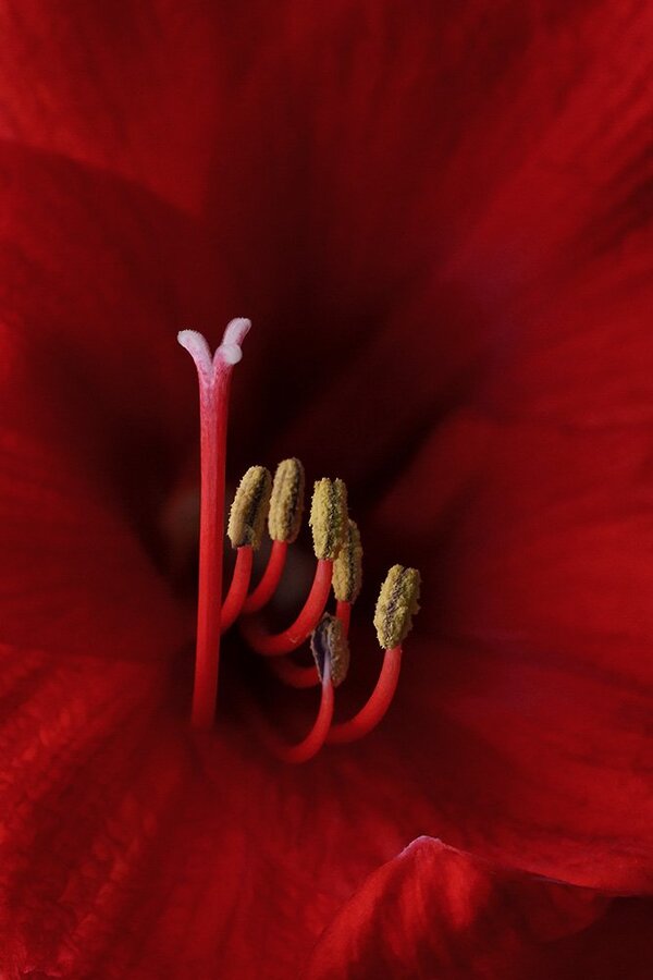 ci_A7403478.jpg