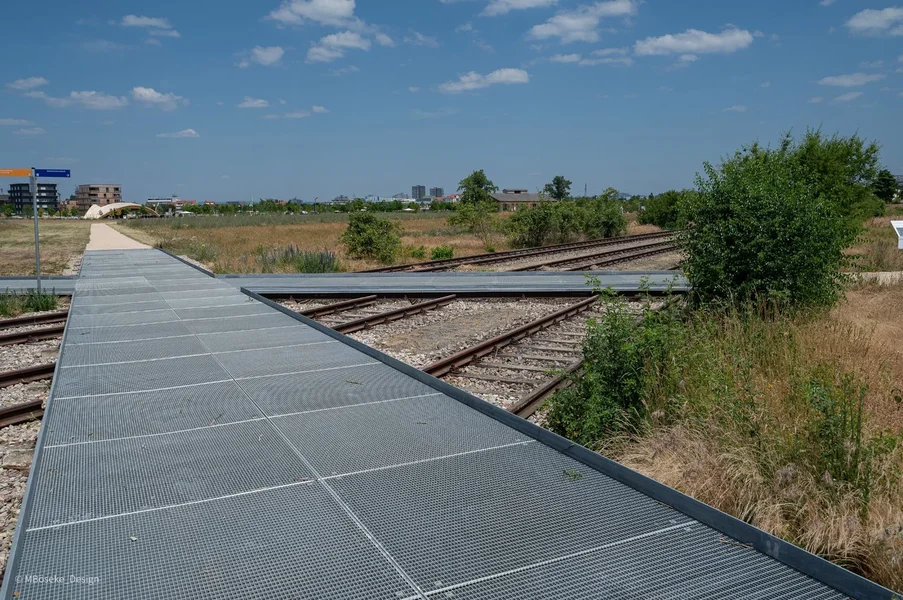 _DSC3074_1.webp