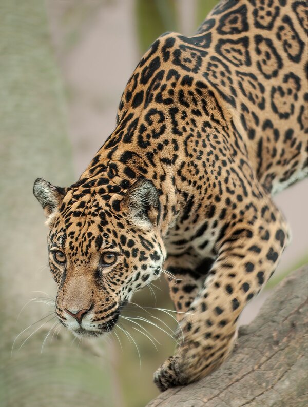 Krefeld 17.03.12_0006_DxO-Bearbeitet.jpg