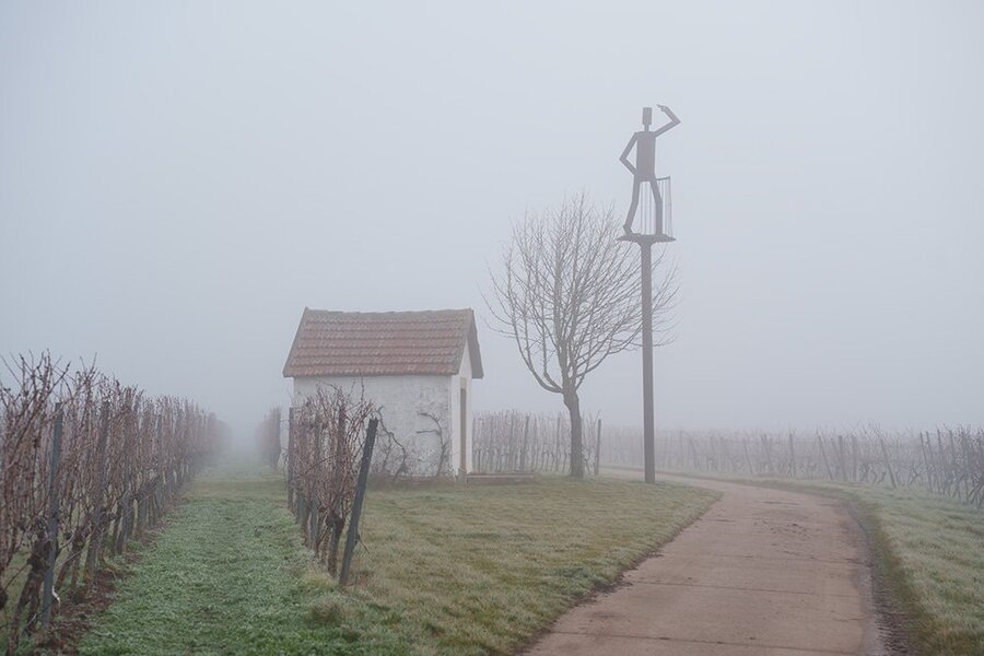 ci_A7403574.jpg
