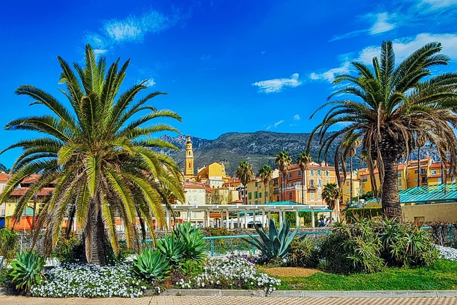 MentonPalmenOrtFINFINFINOPT.webp