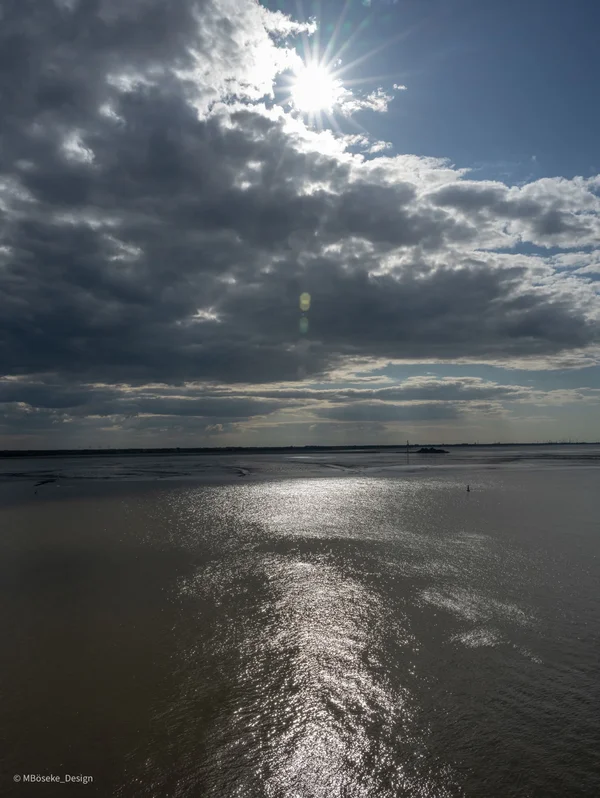 NZ8_2224a-2.webp