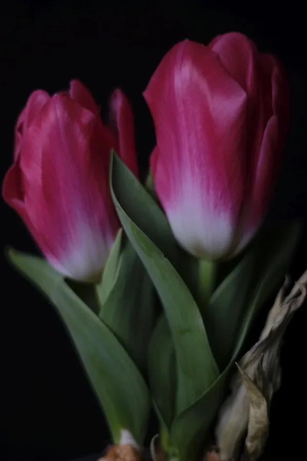 f1.4_DSF0782.webp