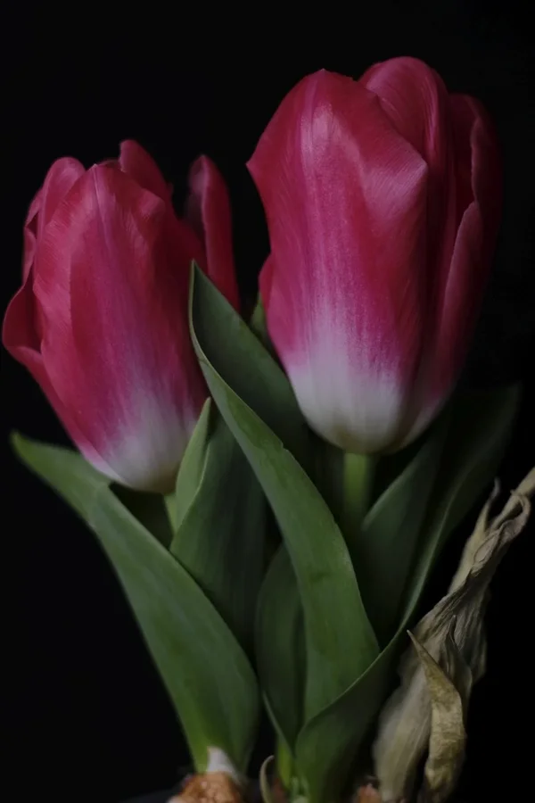 f2.8_DSF0786.webp