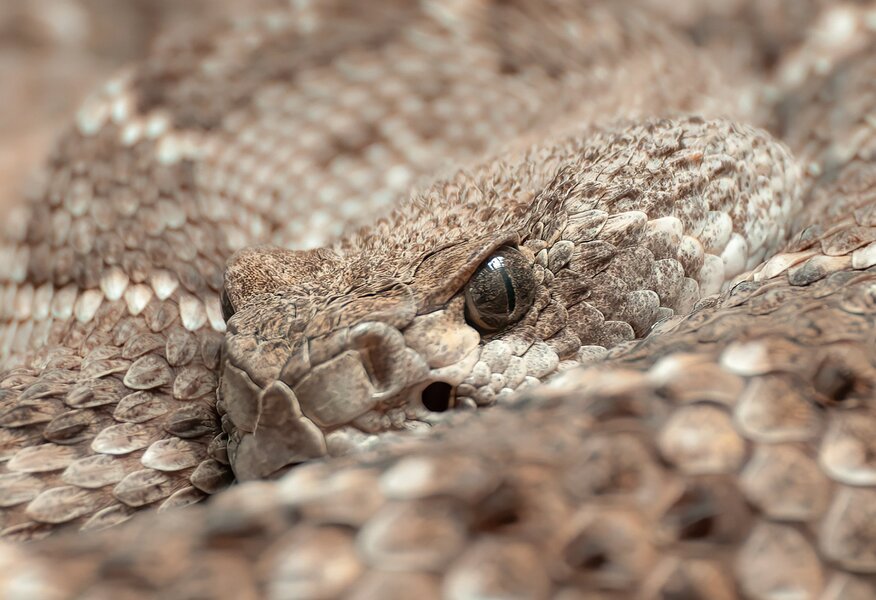 1304_Berlin April 2013_401-Bearbeitet-Bearbeitet.jpg