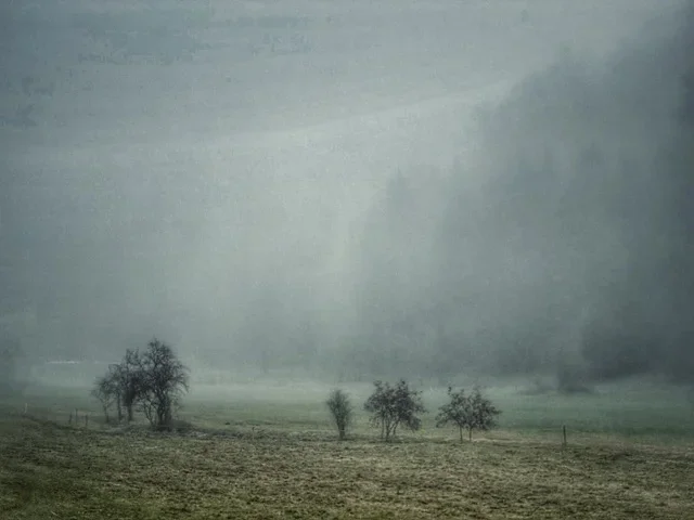 Mittel (danach).webp