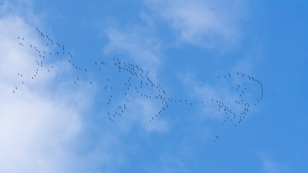 ci_A7501430.jpg
