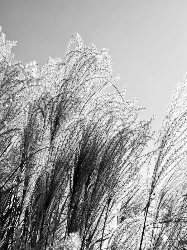 DSCF9166.webp