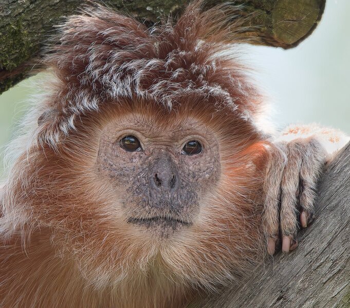 August 2015-129_DxO-Bearbeitet.jpg