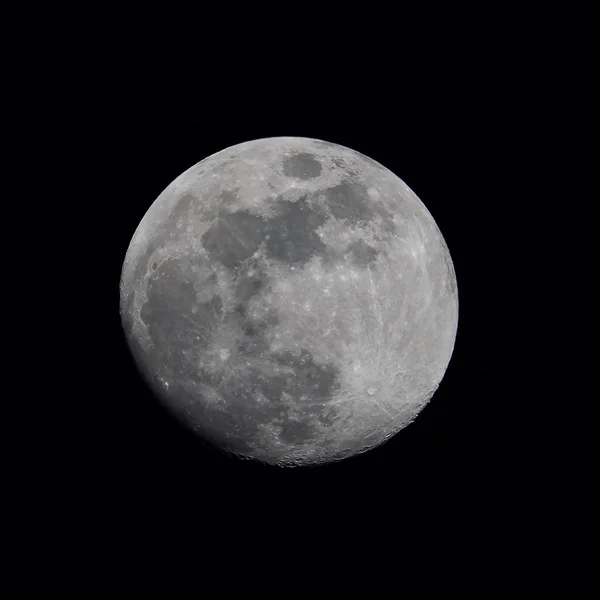 ci_A7502118.webp