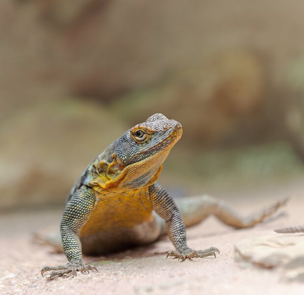 Dresden und Leipzig 2012_0334-DxO_DeepPRIME XD3-Bearbeitet.jpg