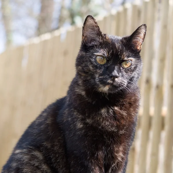 DSCF4597-KATER_WEB.webp
