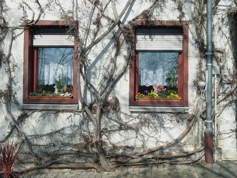 DSCF4589_WEB.webp
