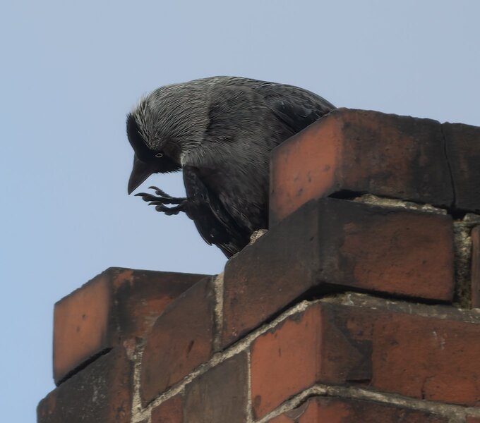 Es juckt-3.jpg Es juckt-3.jpg