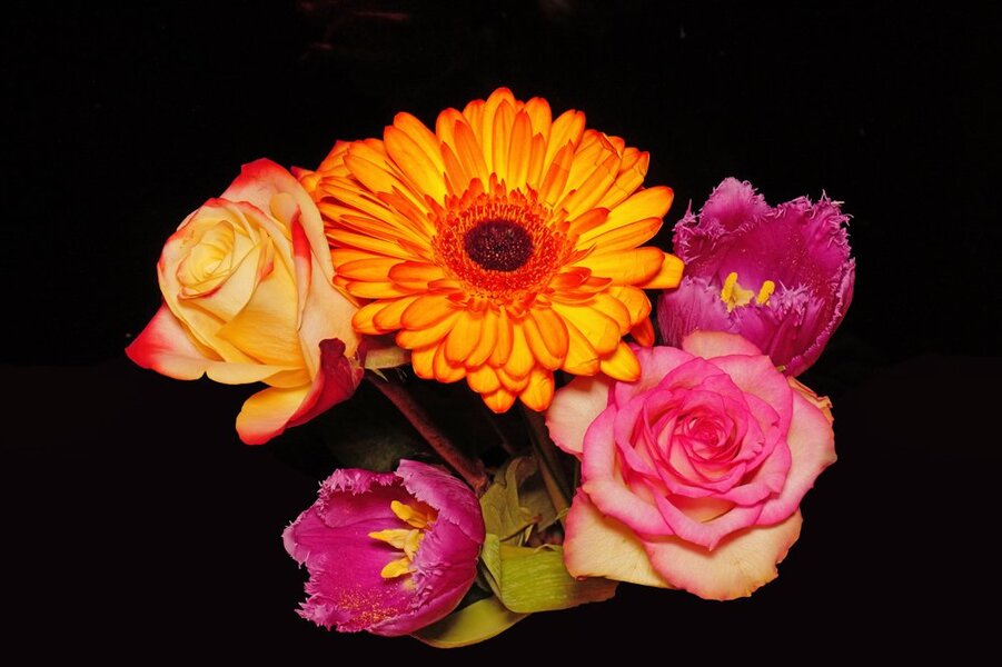 BlumenbukettRosenTulpenGerberaZWEISL32490.jpg