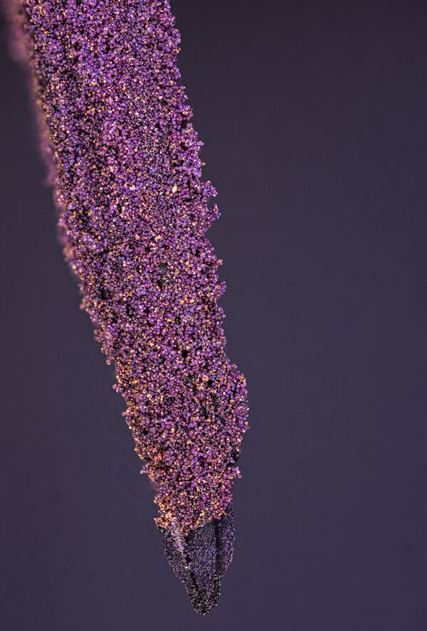 NZ 50II 2026-04-05 16-50-40 (B,R8,S4)41.jpg