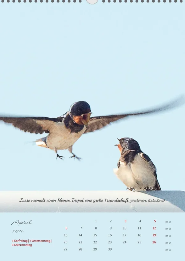 1775668389048.webp