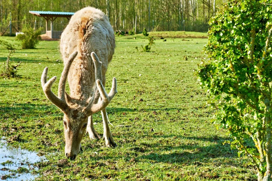 DSCF4792.webp