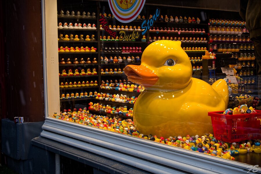 IMGP6786_DxO.jpg