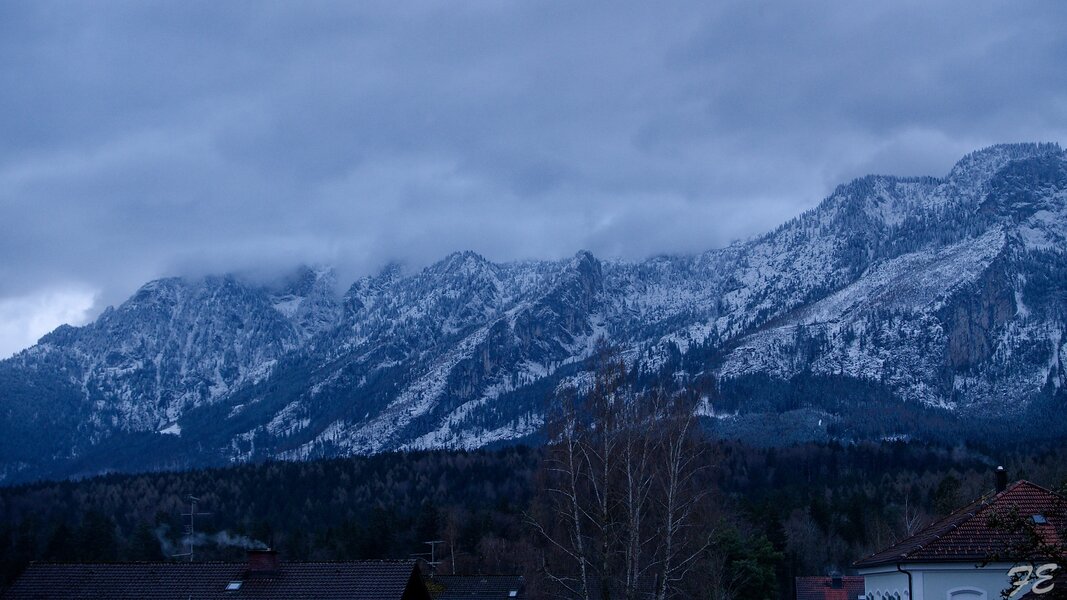 IMGP6893_DxO.jpg