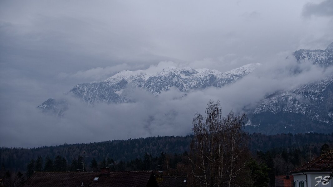 IMGP6894_DxO.jpg