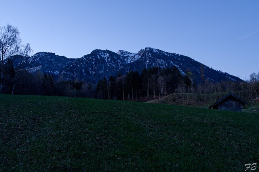 IMGP7001_DxO.jpg