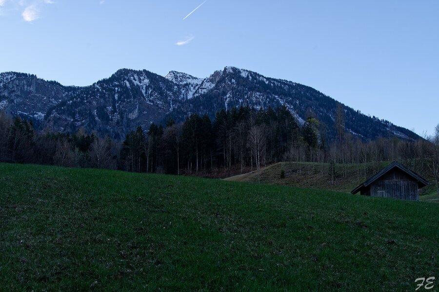 IMGP7009_DxO.jpg