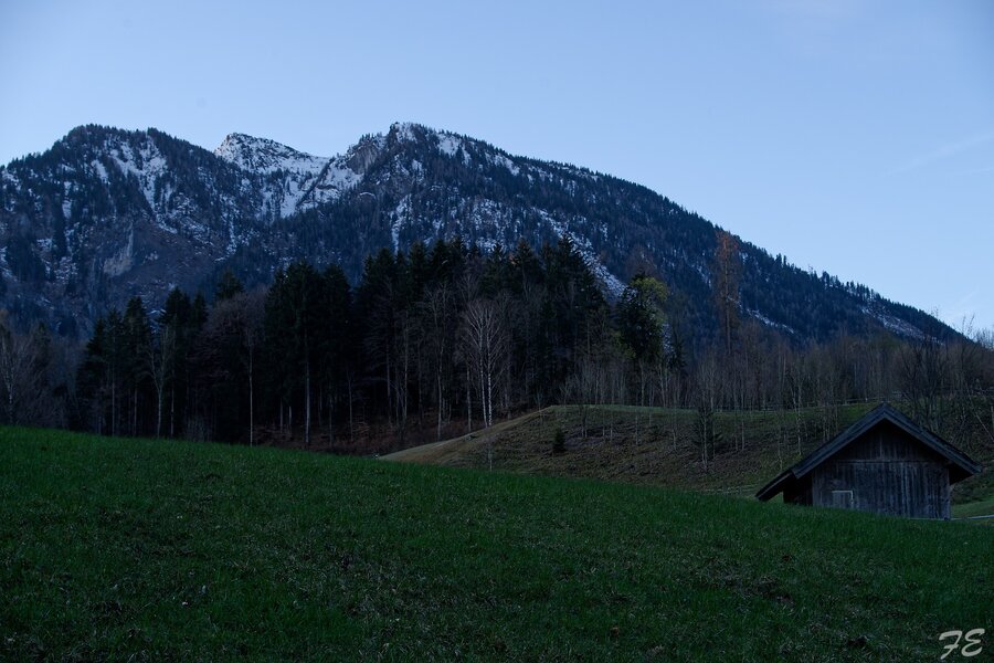 IMGP7013_DxO.jpg