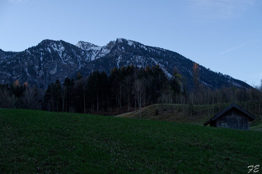 IMGP7016_DxO.jpg
