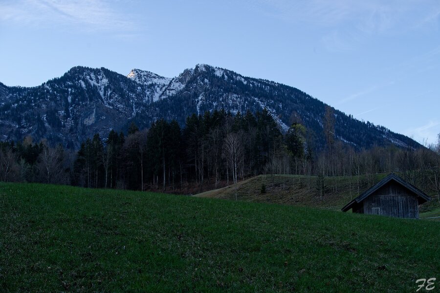 IMGP7018_DxO.jpg